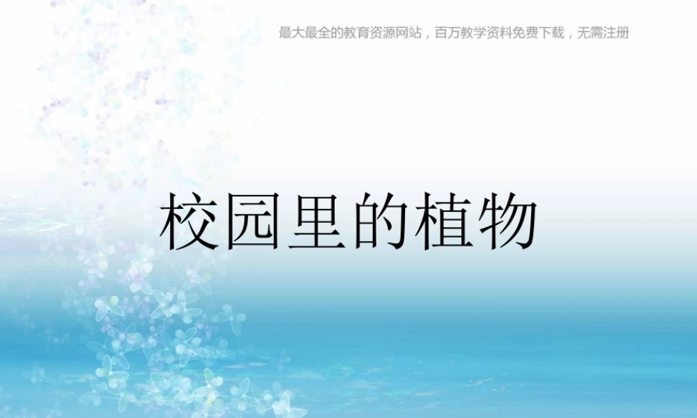 苏教小学科学三上《02做一位小科学家》PPT课件(7)【加微信公众号 jiaoxuewuyou 九折优惠qq 1119139686】.ppt