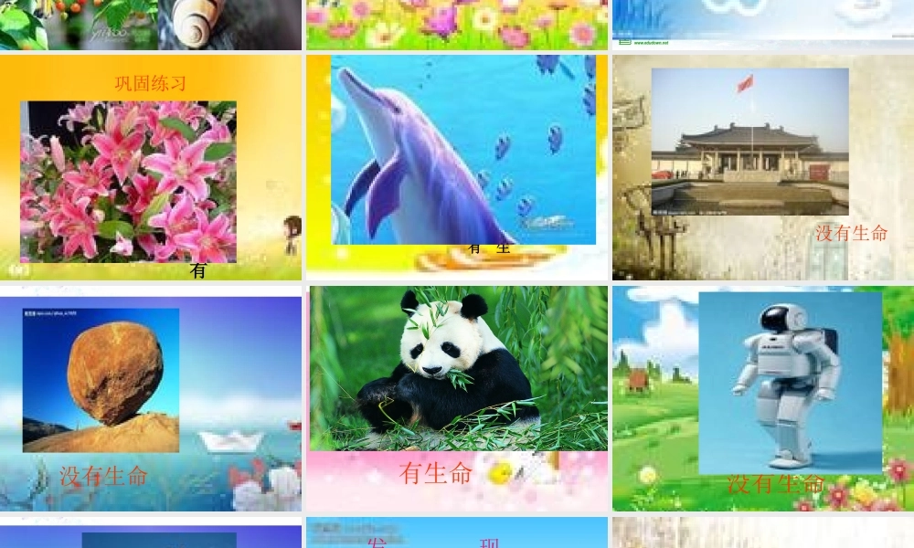 苏教小学科学三上《03寻找有生命的物体》PPT课件(3)【加微信公众号 jiaoxuewuyou 九折优惠qq 1119139686】.ppt