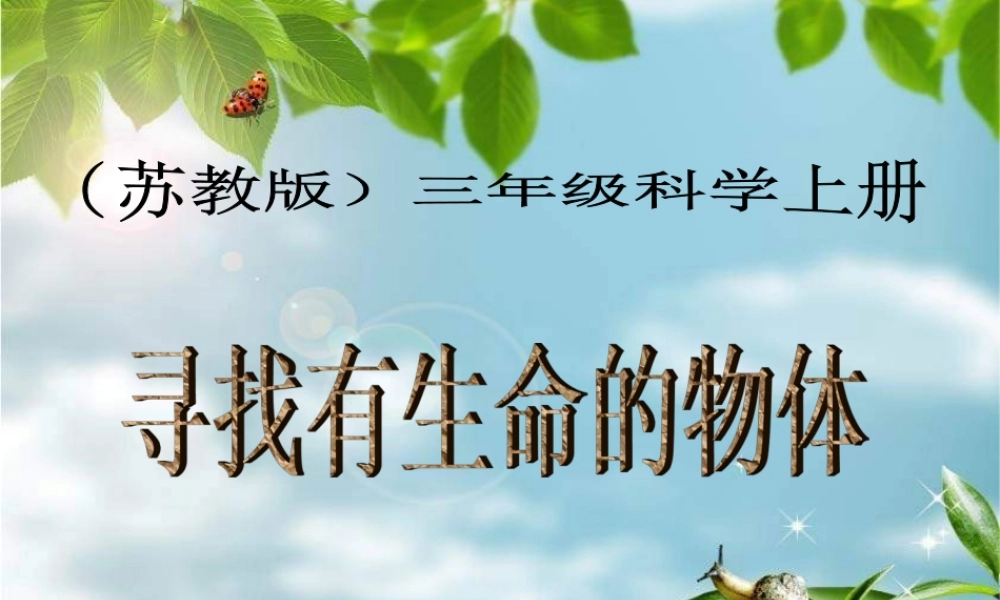 苏教小学科学三上《03寻找有生命的物体》PPT课件(13)【加微信公众号 jiaoxuewuyou 九折优惠qq 1119139686】.ppt