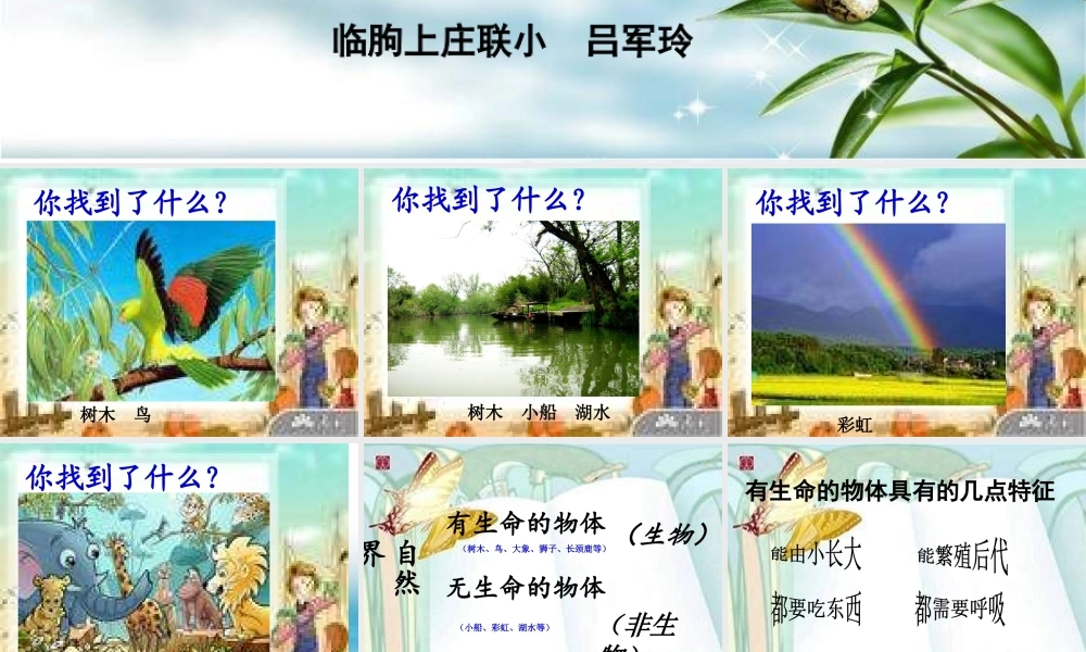 苏教小学科学三上《03寻找有生命的物体》PPT课件(13)【加微信公众号 jiaoxuewuyou 九折优惠qq 1119139686】.ppt