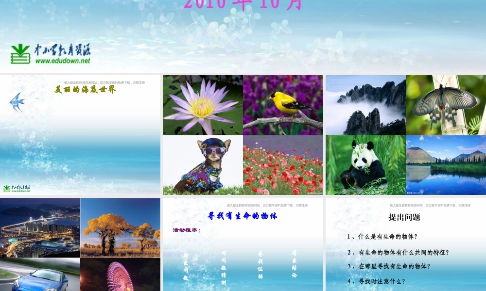 苏教小学科学三上《03寻找有生命的物体》PPT课件(7)【加微信公众号 jiaoxuewuyou 九折优惠qq 1119139686】.ppt