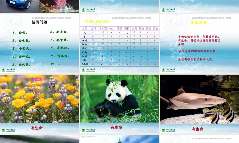 苏教小学科学三上《03寻找有生命的物体》PPT课件(7)【加微信公众号 jiaoxuewuyou 九折优惠qq 1119139686】.ppt