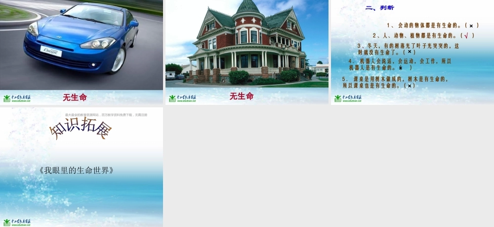 苏教小学科学三上《03寻找有生命的物体》PPT课件(7)【加微信公众号 jiaoxuewuyou 九折优惠qq 1119139686】.ppt