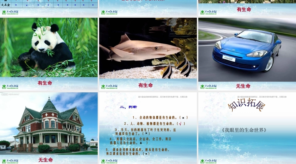 苏教小学科学三上《03寻找有生命的物体》PPT课件(6)【加微信公众号 jiaoxuewuyou 九折优惠qq 1119139686】.ppt