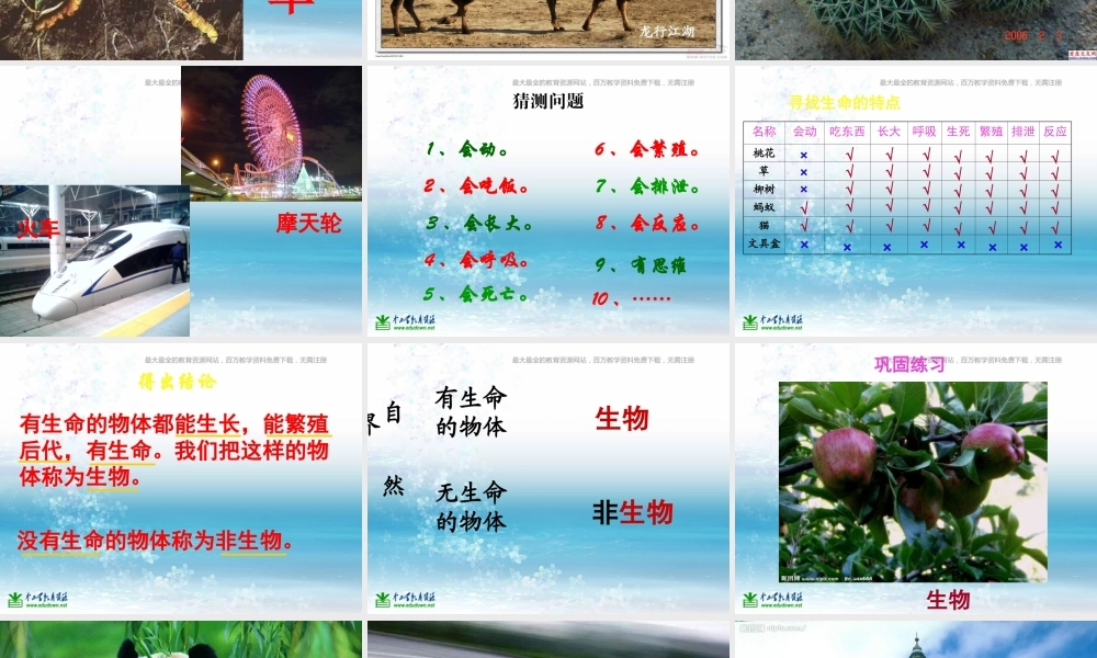 苏教小学科学三上《03寻找有生命的物体》PPT课件(17)【加微信公众号 jiaoxuewuyou 九折优惠qq 1119139686】.ppt