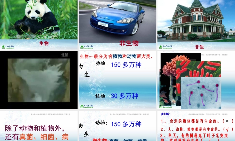 苏教小学科学三上《03寻找有生命的物体》PPT课件(17)【加微信公众号 jiaoxuewuyou 九折优惠qq 1119139686】.ppt