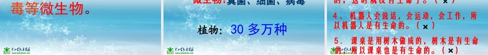 苏教小学科学三上《03寻找有生命的物体》PPT课件(17)【加微信公众号 jiaoxuewuyou 九折优惠qq 1119139686】.ppt