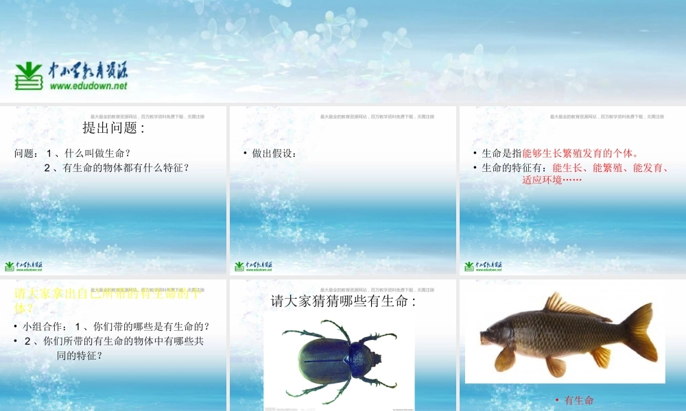 苏教小学科学三上《03寻找有生命的物体》PPT课件(16)【加微信公众号 jiaoxuewuyou 九折优惠qq 1119139686】.ppt