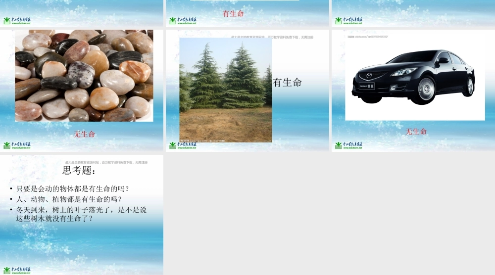 苏教小学科学三上《03寻找有生命的物体》PPT课件(16)【加微信公众号 jiaoxuewuyou 九折优惠qq 1119139686】.ppt