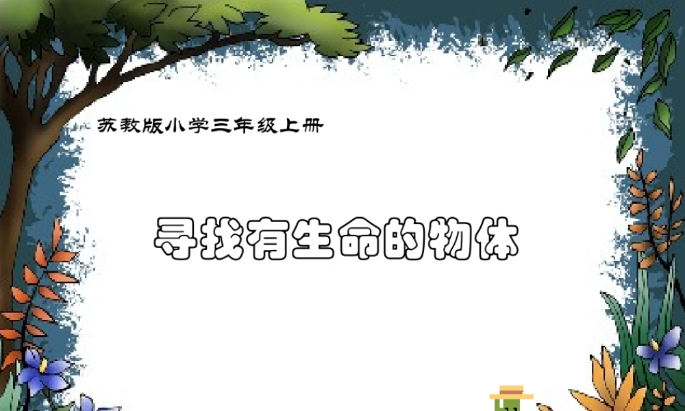 苏教小学科学三上《03寻找有生命的物体》PPT课件(8)【加微信公众号 jiaoxuewuyou 九折优惠qq 1119139686】.ppt