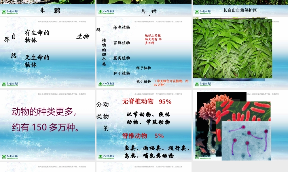 苏教小学科学三上《03寻找有生命的物体》PPT课件(8)【加微信公众号 jiaoxuewuyou 九折优惠qq 1119139686】.ppt