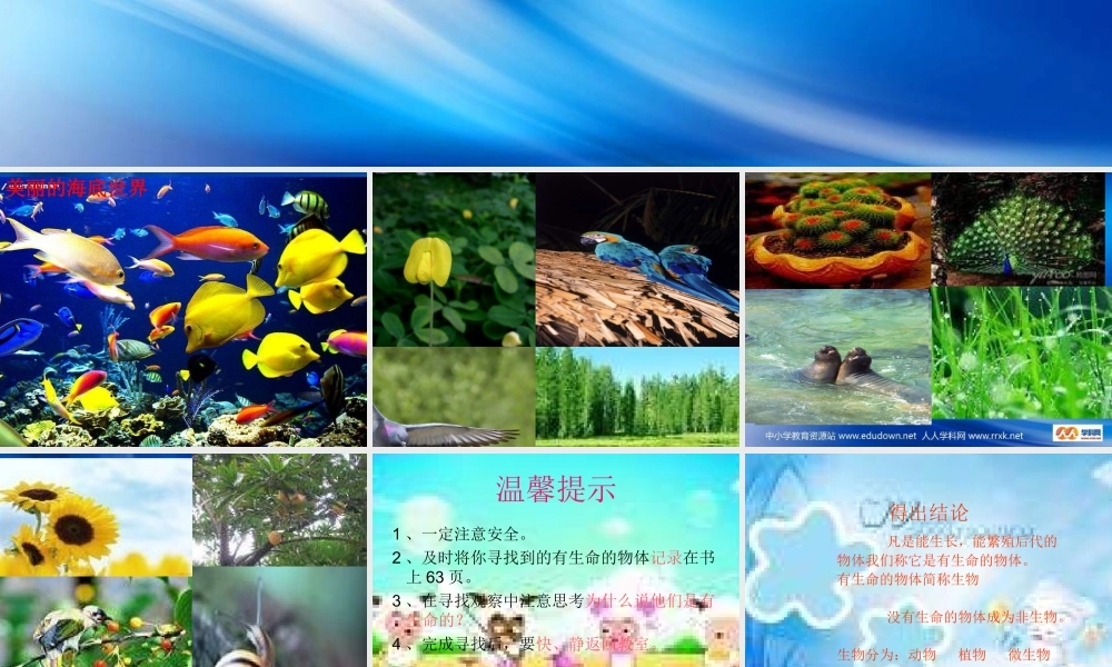 苏教小学科学三上《03寻找有生命的物体》PPT课件(1)【加微信公众号 jiaoxuewuyou 九折优惠qq 1119139686】.ppt