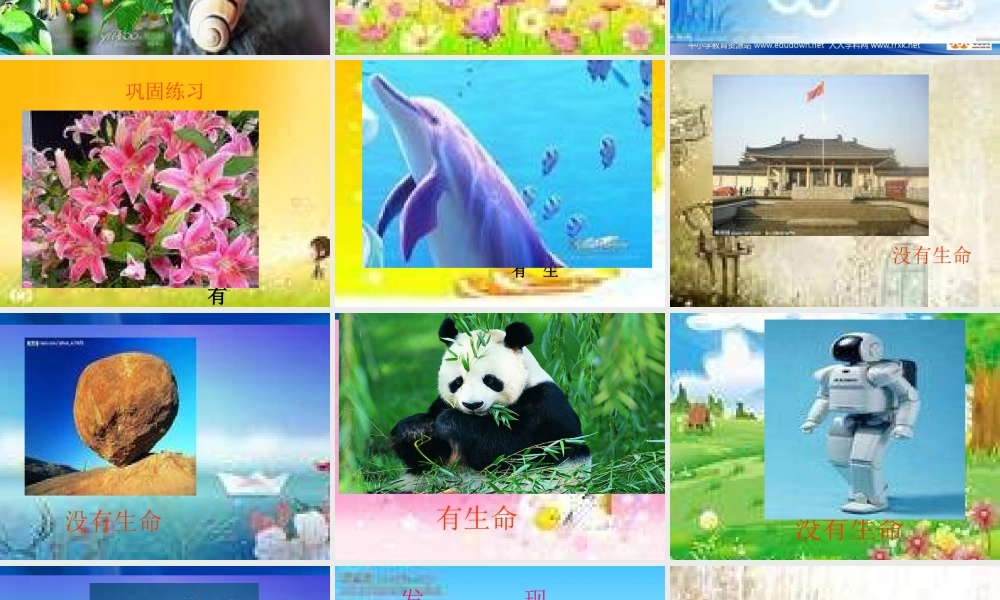 苏教小学科学三上《03寻找有生命的物体》PPT课件(1)【加微信公众号 jiaoxuewuyou 九折优惠qq 1119139686】.ppt