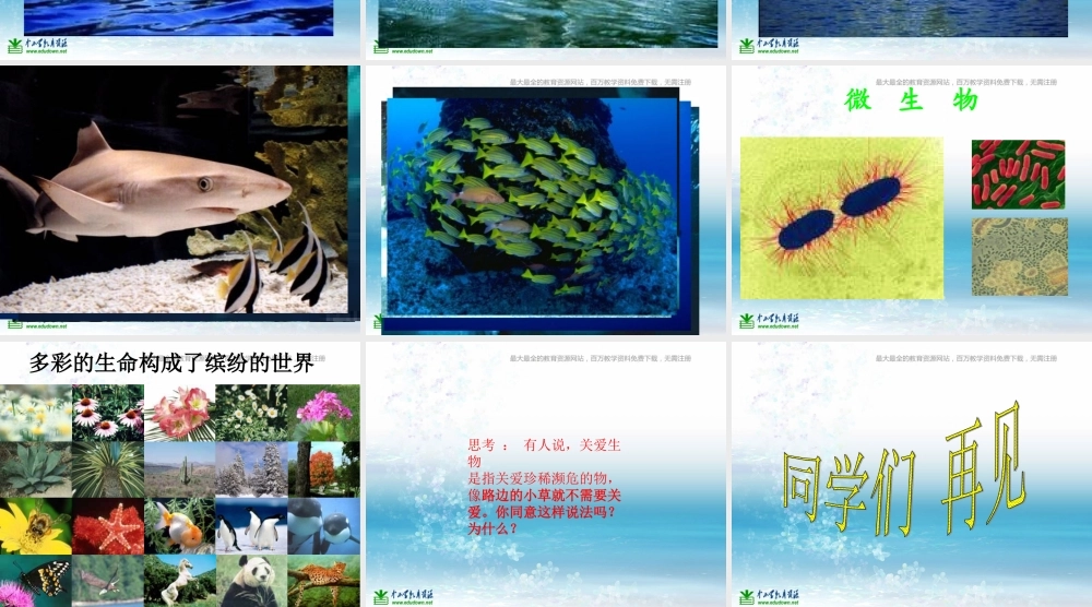 苏教小学科学三上《03寻找有生命的物体》PPT课件(11)【加微信公众号 jiaoxuewuyou 九折优惠qq 1119139686】.ppt