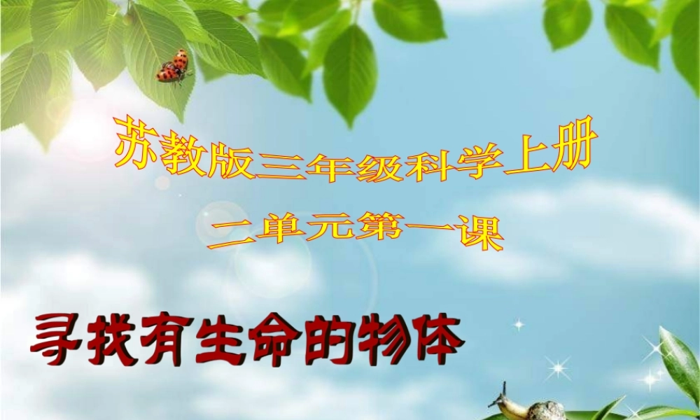 苏教小学科学三上《03寻找有生命的物体》PPT课件(14)【加微信公众号 jiaoxuewuyou 九折优惠qq 1119139686】.ppt