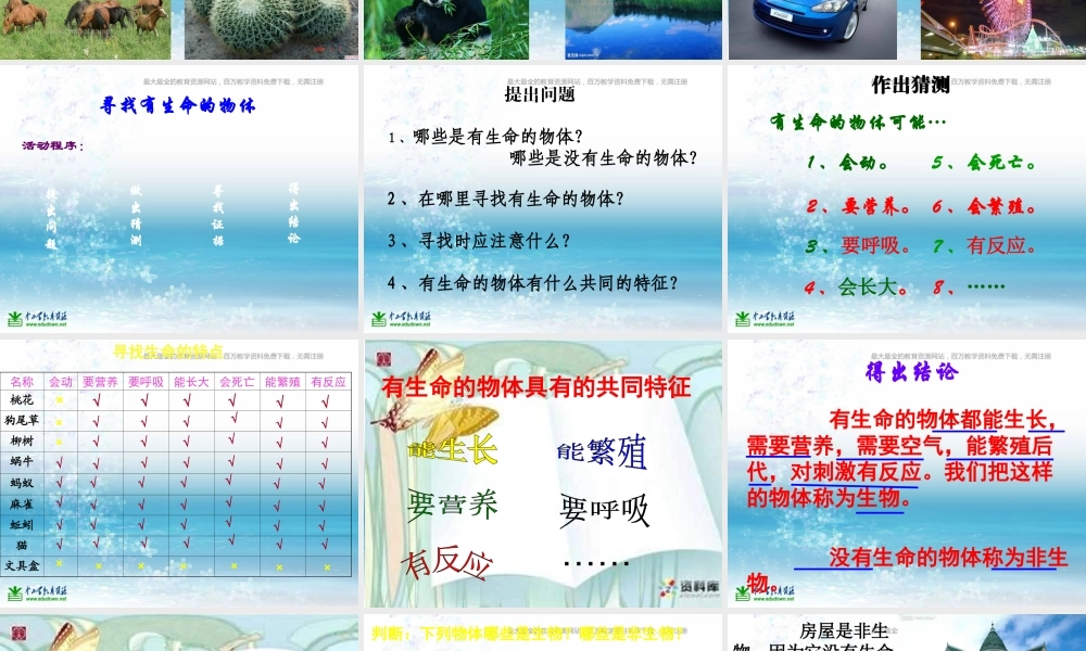 苏教小学科学三上《03寻找有生命的物体》PPT课件(14)【加微信公众号 jiaoxuewuyou 九折优惠qq 1119139686】.ppt