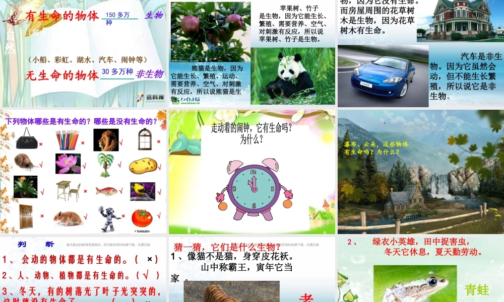 苏教小学科学三上《03寻找有生命的物体》PPT课件(14)【加微信公众号 jiaoxuewuyou 九折优惠qq 1119139686】.ppt