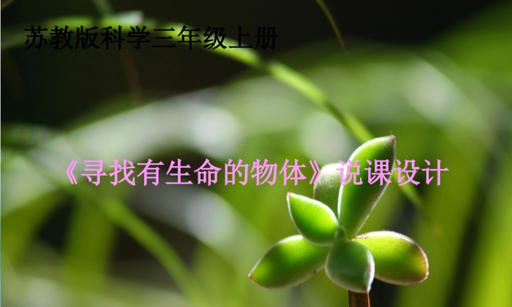 苏教小学科学三上《03寻找有生命的物体》PPT课件(9)【加微信公众号 jiaoxuewuyou 九折优惠qq 1119139686】.ppt