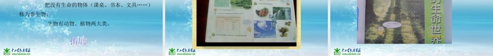苏教小学科学三上《03寻找有生命的物体》PPT课件(9)【加微信公众号 jiaoxuewuyou 九折优惠qq 1119139686】.ppt