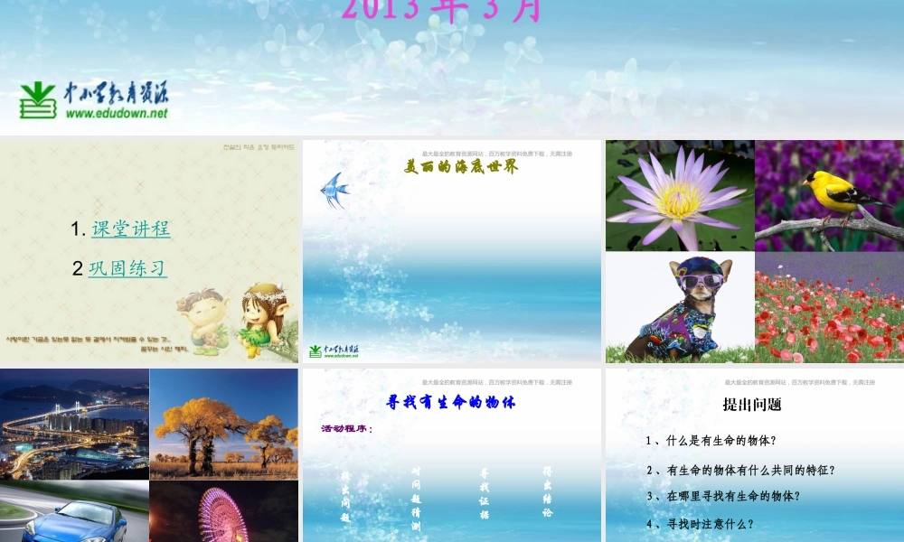 苏教小学科学三上《03寻找有生命的物体》PPT课件(5)【加微信公众号 jiaoxuewuyou 九折优惠qq 1119139686】.ppt