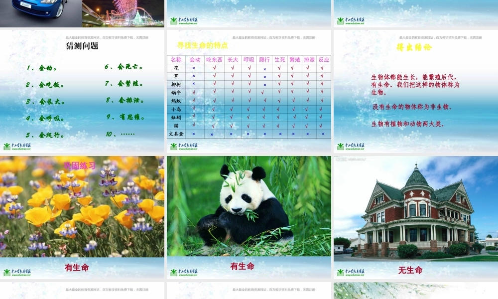 苏教小学科学三上《03寻找有生命的物体》PPT课件(5)【加微信公众号 jiaoxuewuyou 九折优惠qq 1119139686】.ppt