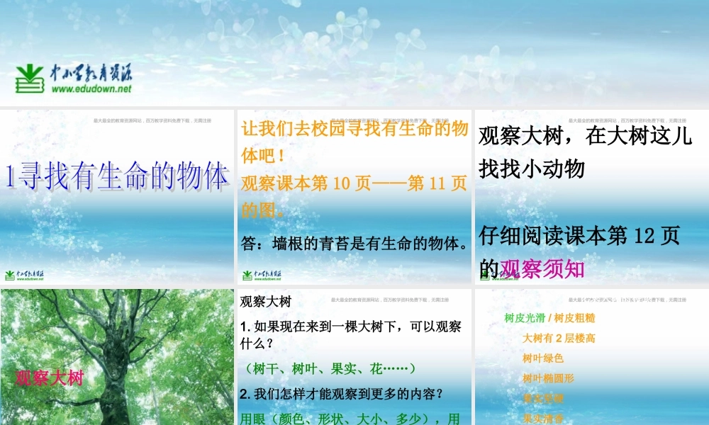 苏教小学科学三上《03寻找有生命的物体》PPT课件(15)【加微信公众号 jiaoxuewuyou 九折优惠qq 1119139686】.ppt