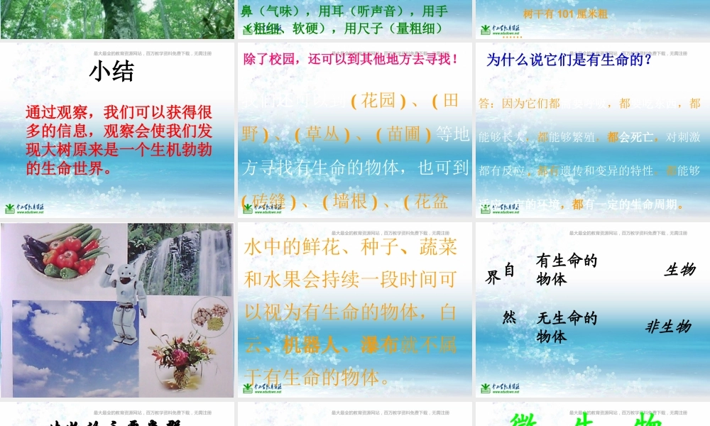 苏教小学科学三上《03寻找有生命的物体》PPT课件(15)【加微信公众号 jiaoxuewuyou 九折优惠qq 1119139686】.ppt