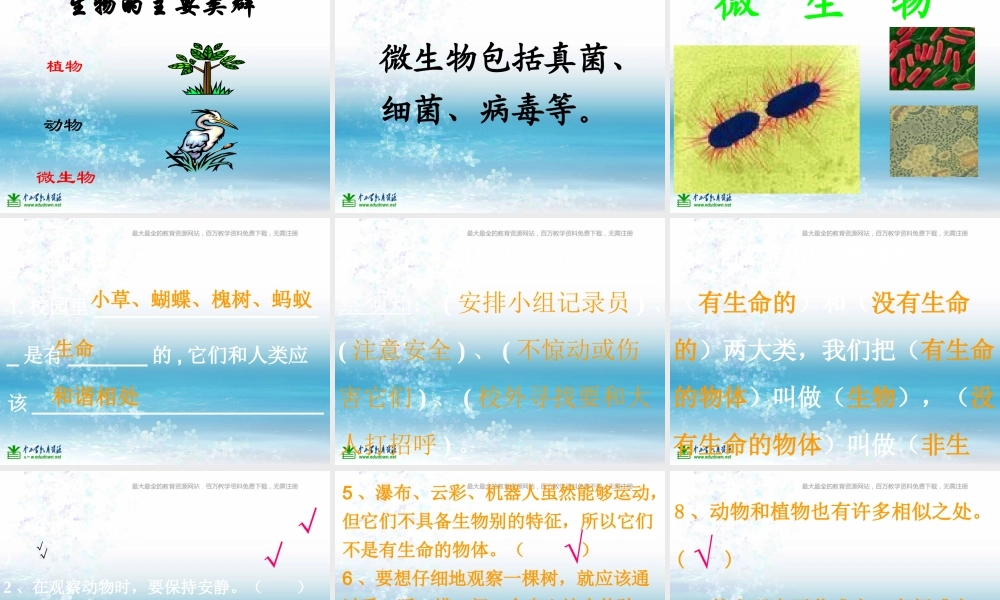 苏教小学科学三上《03寻找有生命的物体》PPT课件(15)【加微信公众号 jiaoxuewuyou 九折优惠qq 1119139686】.ppt