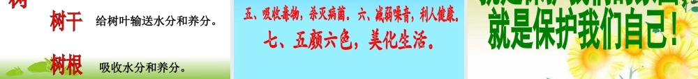 苏教小学科学三上《04校园里的植物》PPT课件(2)【加微信公众号 jiaoxuewuyou 九折优惠qq 1119139686】.ppt