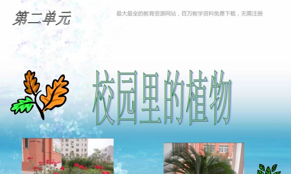 苏教小学科学三上《04校园里的植物》PPT课件(5)【加微信公众号 jiaoxuewuyou 九折优惠qq 1119139686】.ppt