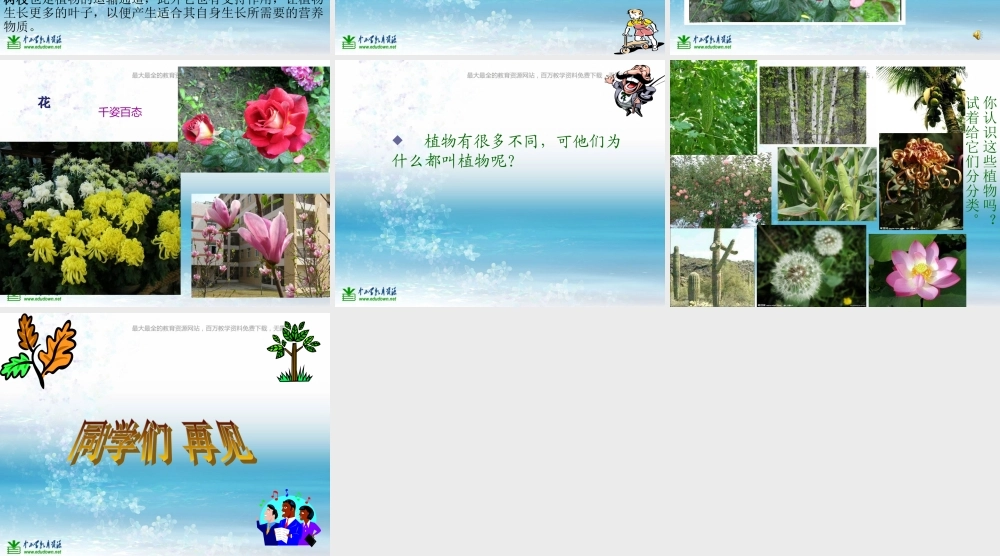 苏教小学科学三上《04校园里的植物》PPT课件(5)【加微信公众号 jiaoxuewuyou 九折优惠qq 1119139686】.ppt