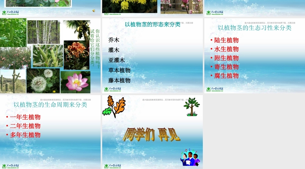 苏教小学科学三上《04校园里的植物》PPT课件(16)【加微信公众号 jiaoxuewuyou 九折优惠qq 1119139686】.ppt