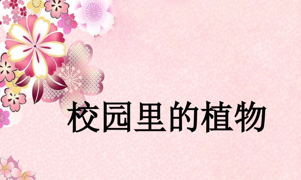 苏教小学科学三上《04校园里的植物》PPT课件(12)【加微信公众号 jiaoxuewuyou 九折优惠qq 1119139686】.ppt