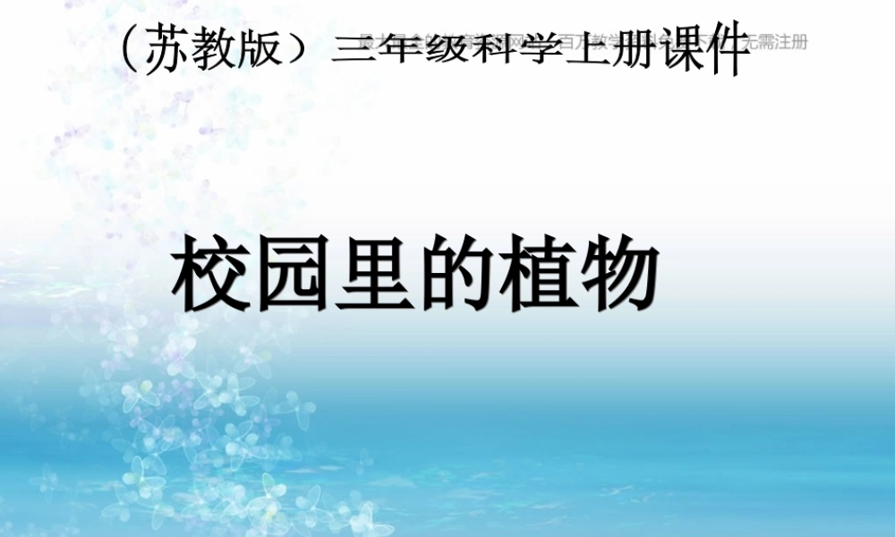 苏教小学科学三上《04校园里的植物》PPT课件(11)【加微信公众号 jiaoxuewuyou 九折优惠qq 1119139686】.ppt