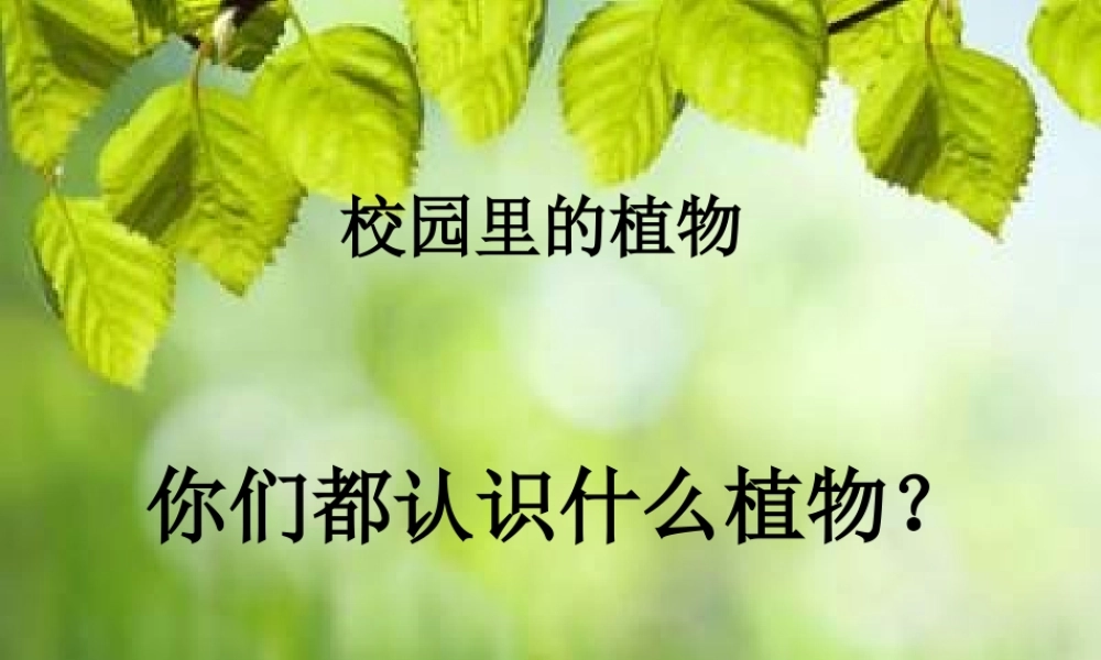苏教小学科学三上《04校园里的植物》PPT课件(7)【加微信公众号 jiaoxuewuyou 九折优惠qq 1119139686】.ppt