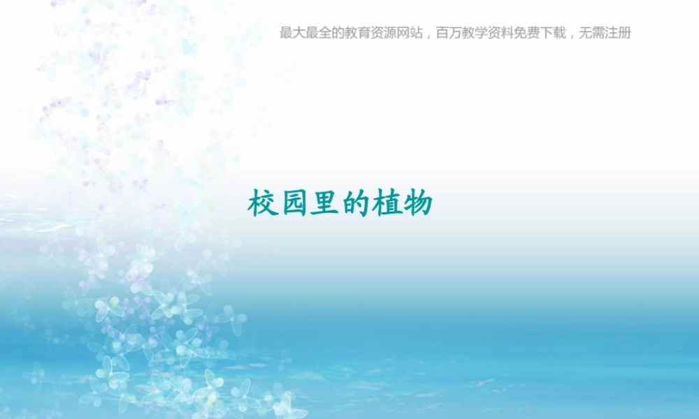 苏教小学科学三上《04校园里的植物》PPT课件(17)【加微信公众号 jiaoxuewuyou 九折优惠qq 1119139686】.ppt