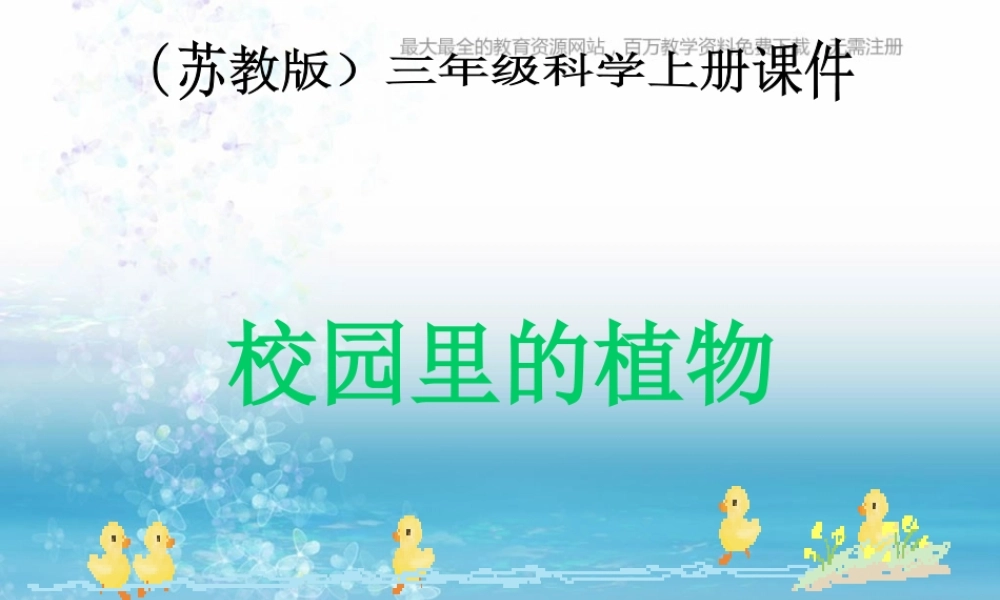 苏教小学科学三上《04校园里的植物》PPT课件(10)【加微信公众号 jiaoxuewuyou 九折优惠qq 1119139686】.ppt