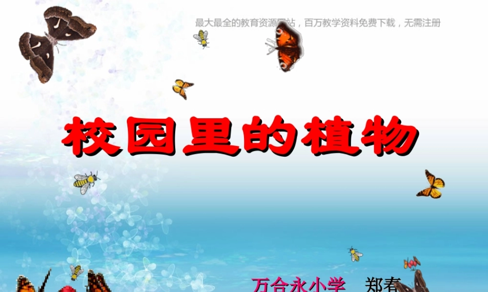 苏教小学科学三上《04校园里的植物》PPT课件(3)【加微信公众号 jiaoxuewuyou 九折优惠qq 1119139686】.ppt