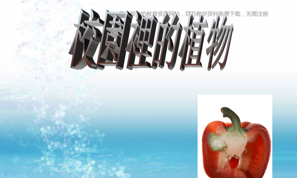 苏教小学科学三上《04校园里的植物》PPT课件(8)【加微信公众号 jiaoxuewuyou 九折优惠qq 1119139686】.ppt