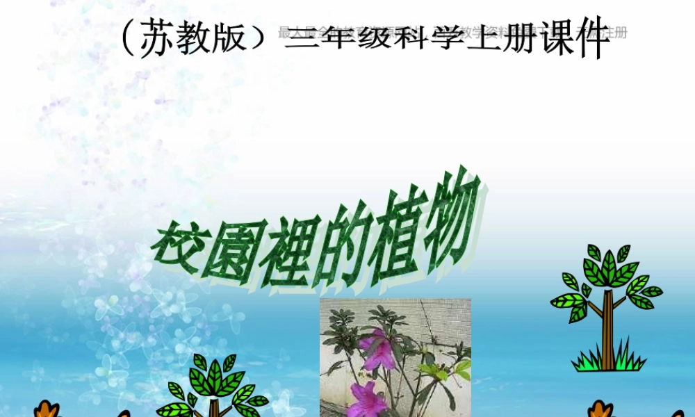 苏教小学科学三上《04校园里的植物》PPT课件(18)【加微信公众号 jiaoxuewuyou 九折优惠qq 1119139686】.ppt