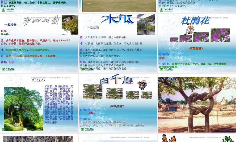 苏教小学科学三上《04校园里的植物》PPT课件(18)【加微信公众号 jiaoxuewuyou 九折优惠qq 1119139686】.ppt