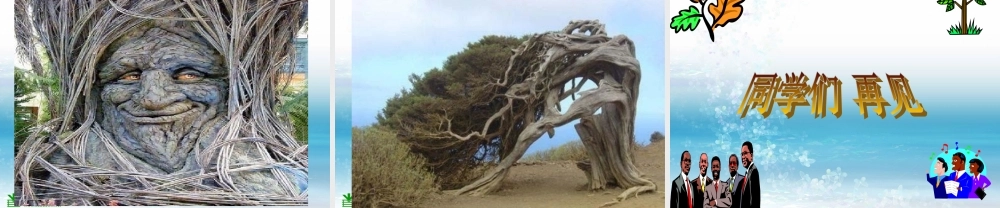 苏教小学科学三上《04校园里的植物》PPT课件(18)【加微信公众号 jiaoxuewuyou 九折优惠qq 1119139686】.ppt