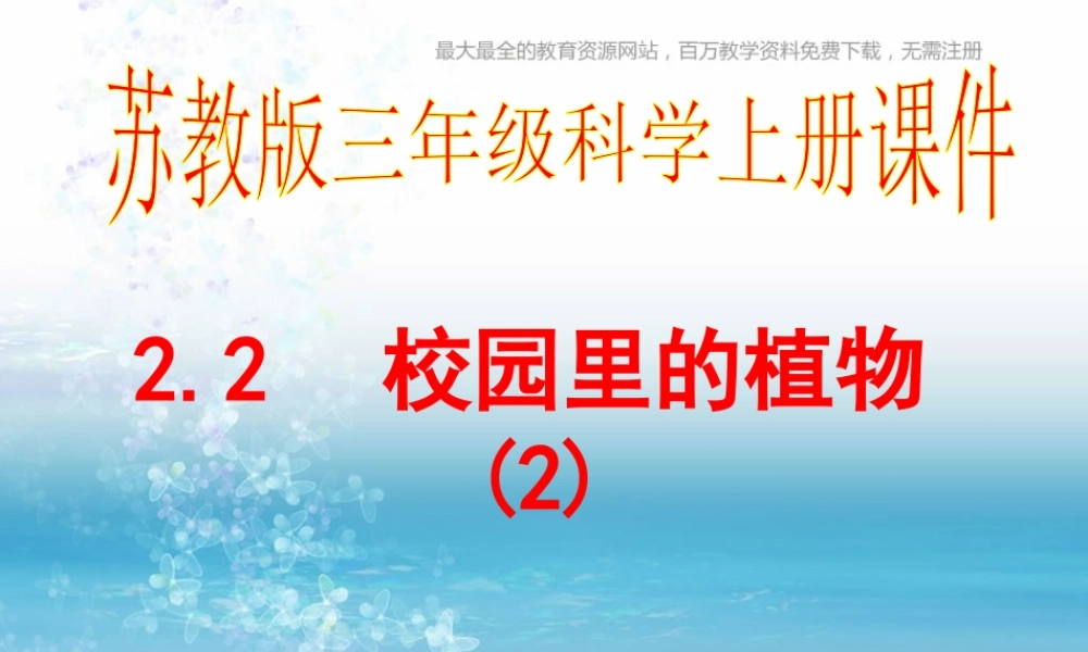 苏教小学科学三上《04校园里的植物》PPT课件(4)【加微信公众号 jiaoxuewuyou 九折优惠qq 1119139686】.ppt