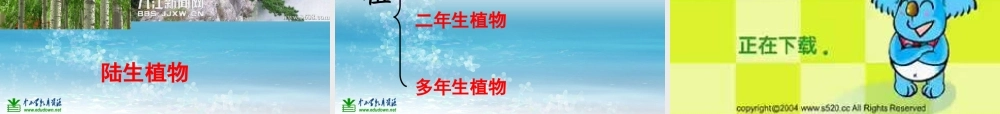 苏教小学科学三上《04校园里的植物》PPT课件(4)【加微信公众号 jiaoxuewuyou 九折优惠qq 1119139686】.ppt