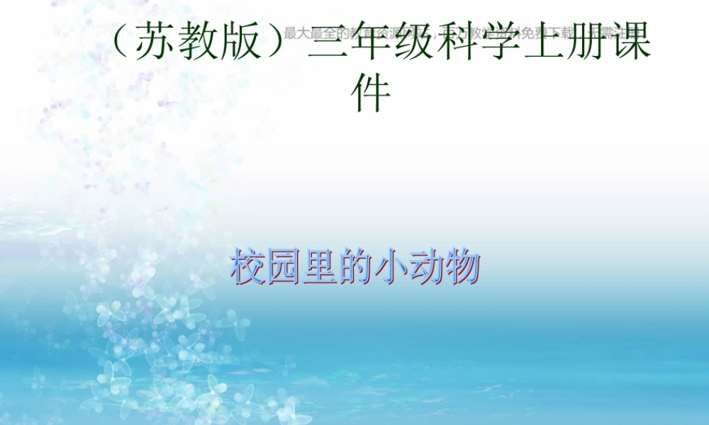 苏教小学科学三上《05校园里的小动物》PPT课件(1)【加微信公众号 jiaoxuewuyou 九折优惠qq 1119139686】.ppt