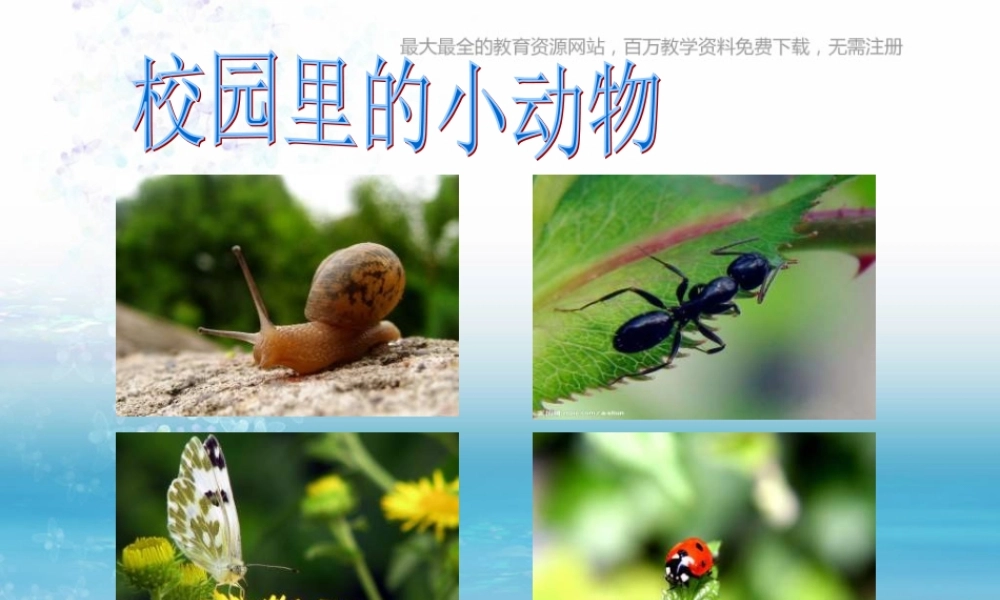 苏教小学科学三上《05校园里的小动物》PPT课件(10)【加微信公众号 jiaoxuewuyou 九折优惠qq 1119139686】.ppt