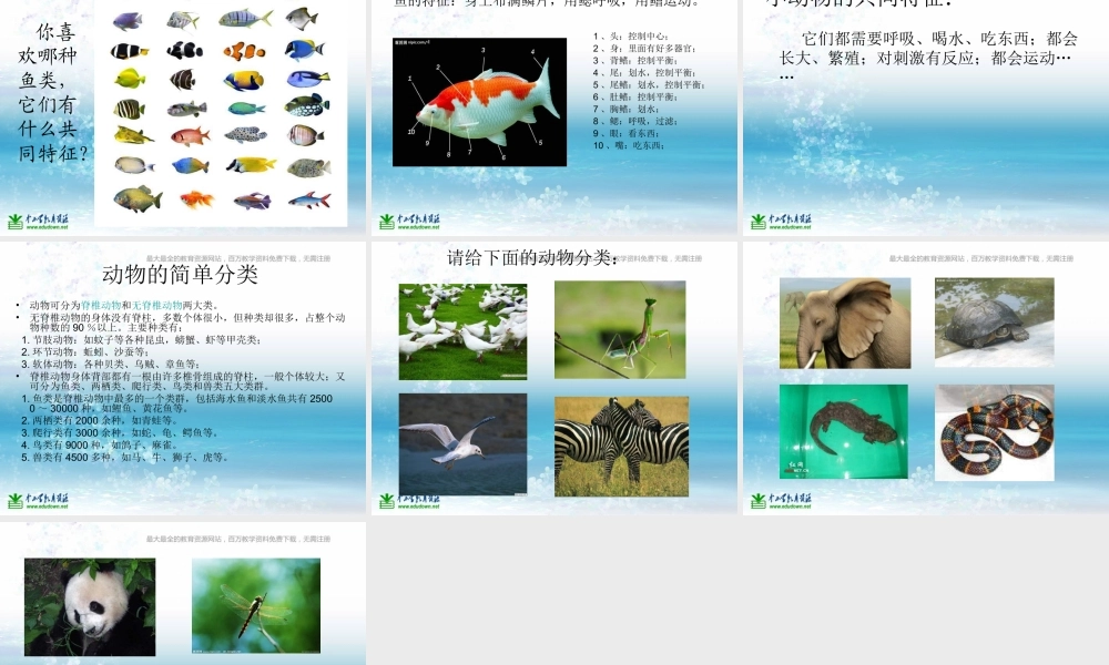 苏教小学科学三上《05校园里的小动物》PPT课件(10)【加微信公众号 jiaoxuewuyou 九折优惠qq 1119139686】.ppt