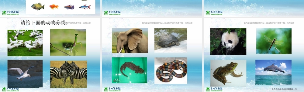 苏教小学科学三上《05校园里的小动物》PPT课件(11)【加微信公众号 jiaoxuewuyou 九折优惠qq 1119139686】.ppt