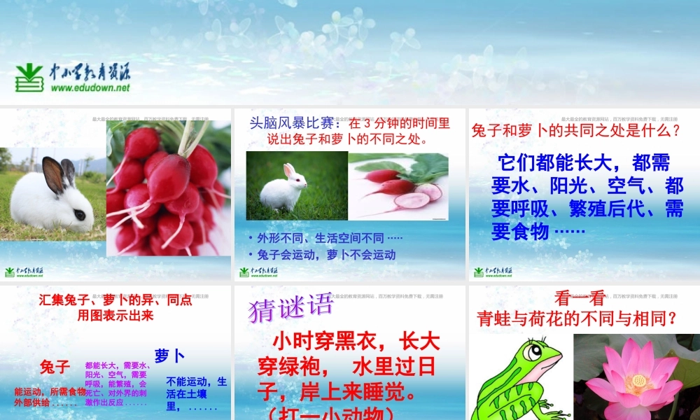 苏教小学科学三上《06动物、植物、人》PPT课件(2)【加微信公众号 jiaoxuewuyou 九折优惠qq 1119139686】.ppt