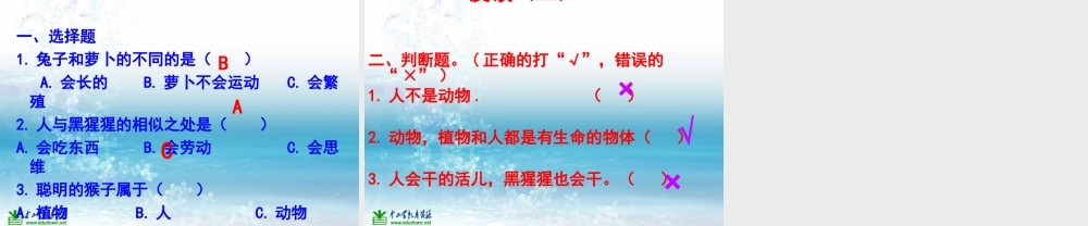 苏教小学科学三上《06动物、植物、人》PPT课件(2)【加微信公众号 jiaoxuewuyou 九折优惠qq 1119139686】.ppt